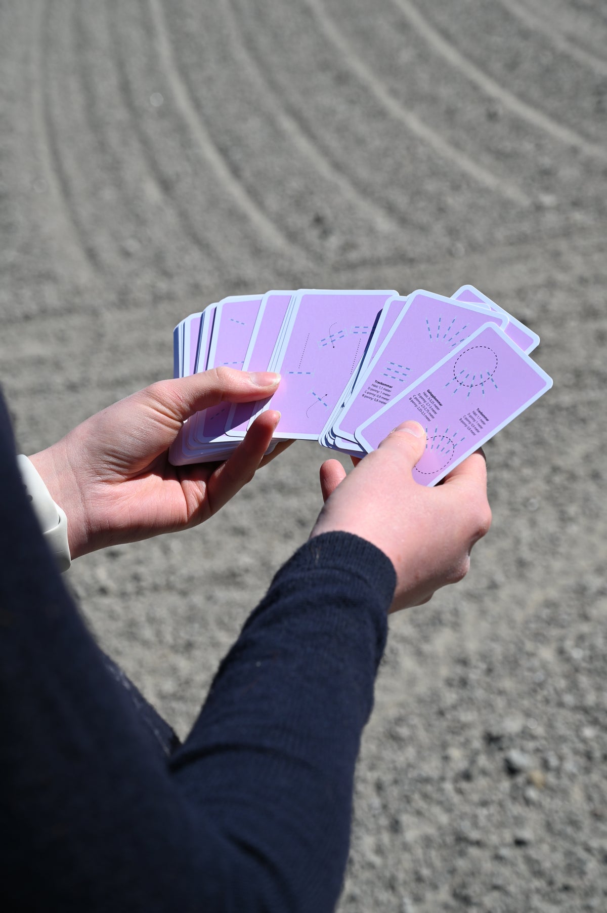 Equicards Hopp & Bomövningar