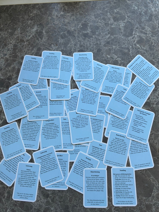 Equicard- Grundövningar