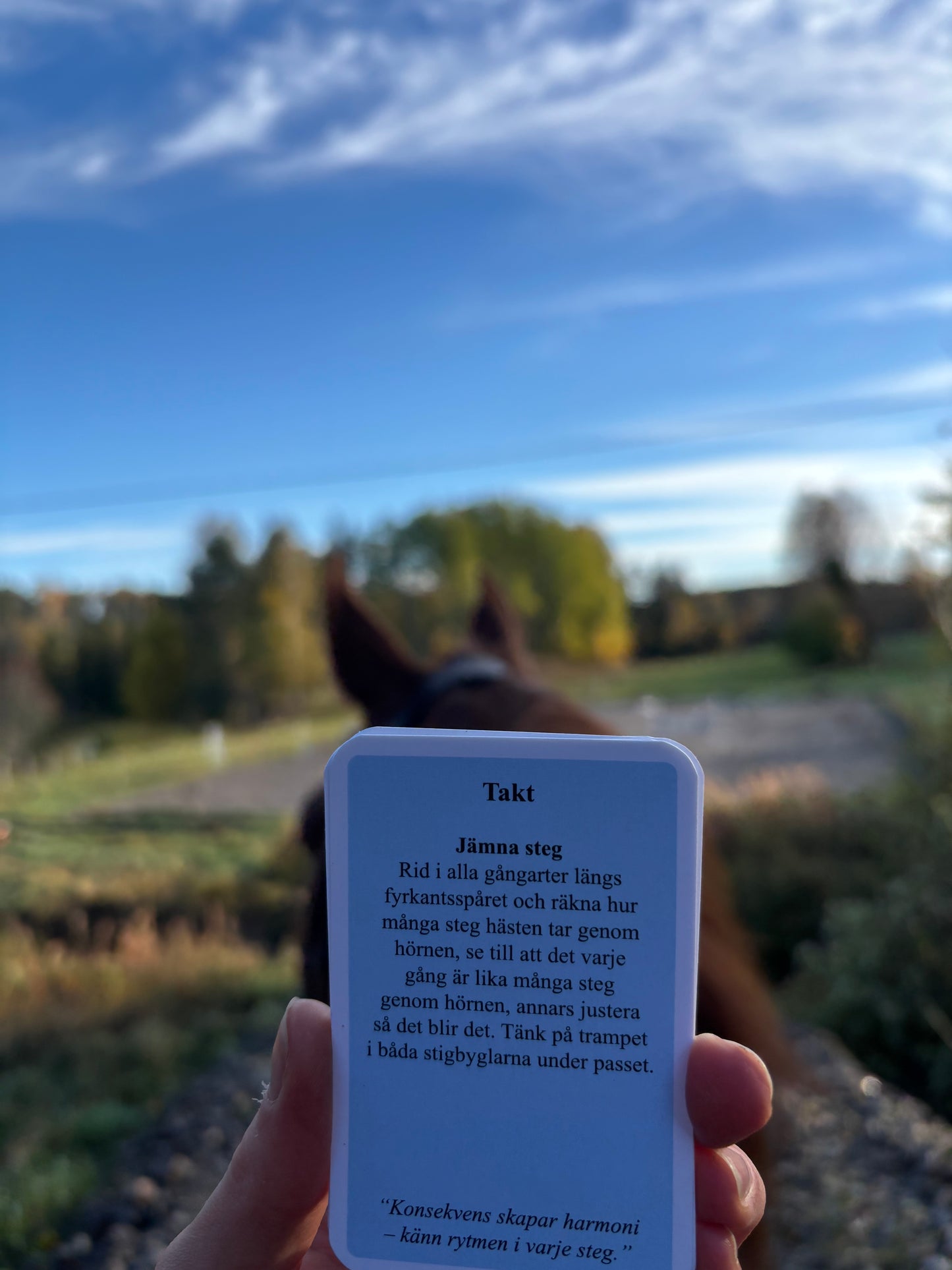 Equicard – Träningspaket (110 kort)