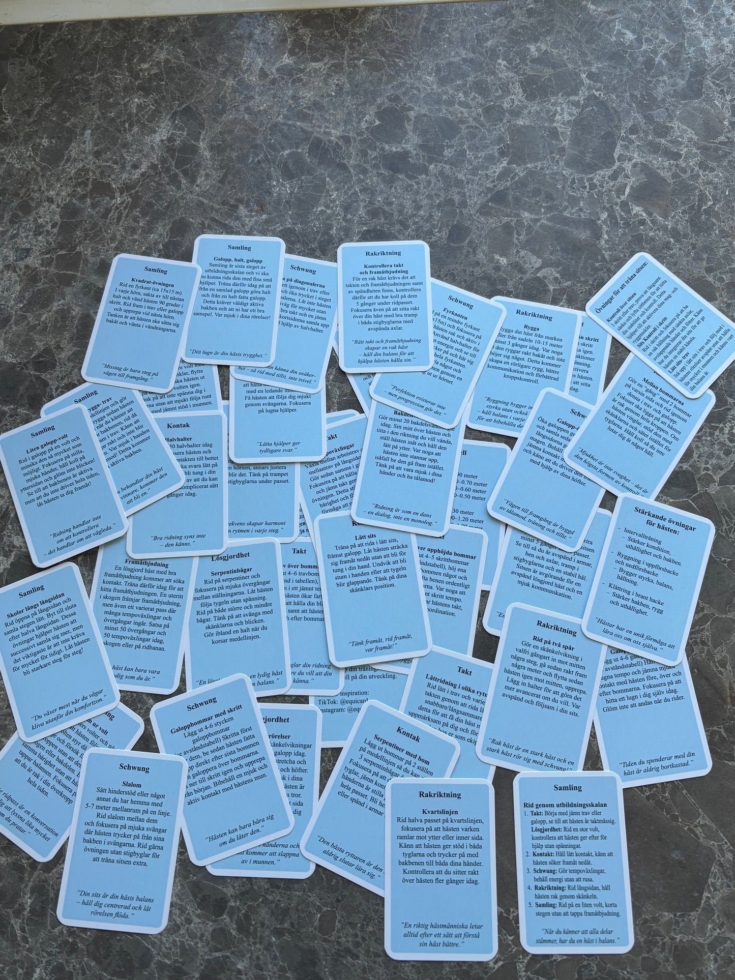 Equicard- Grundövningar