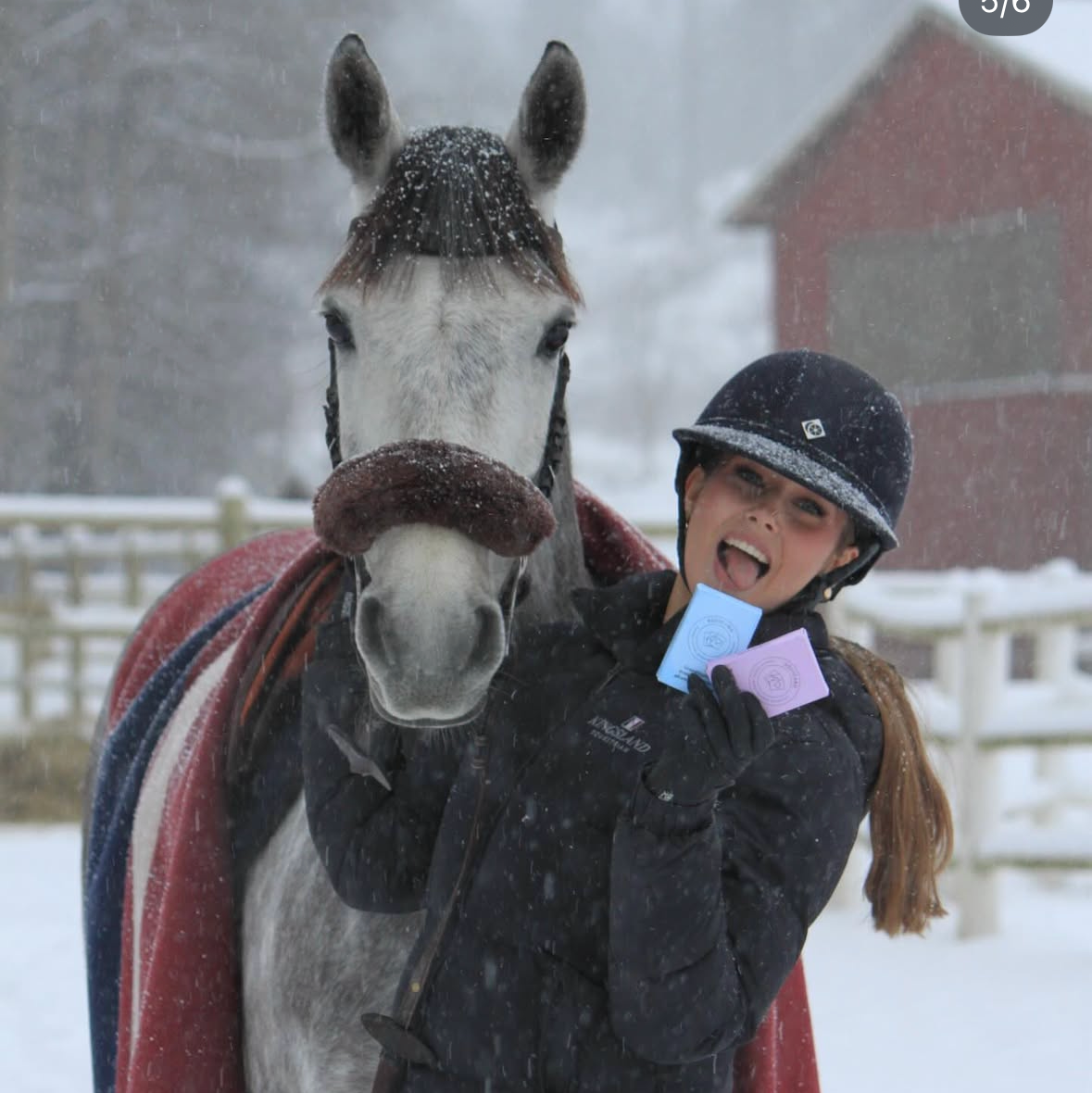 Equicard träningskort för ryttare i stallet