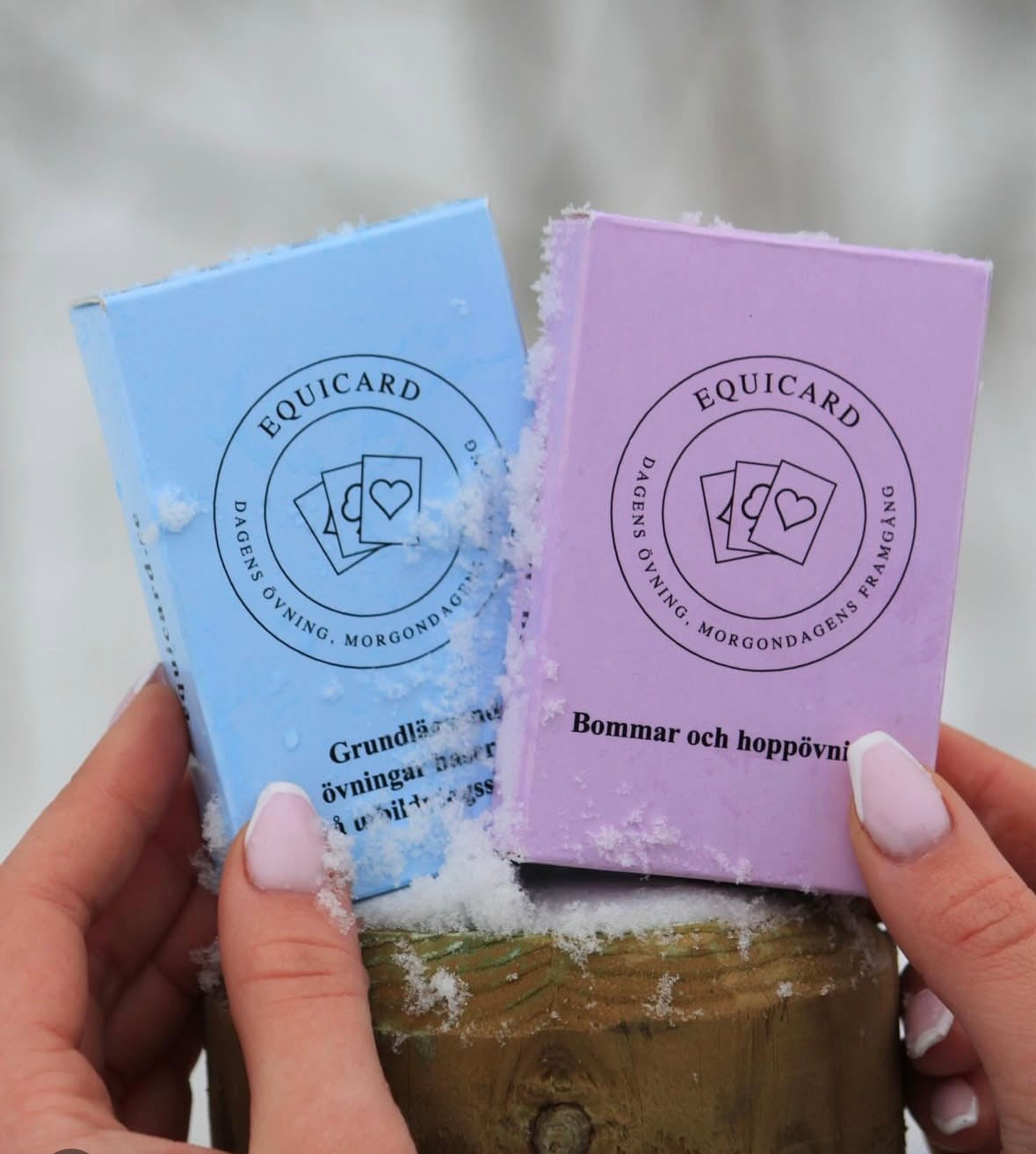 Equicard – Träningspaket (110 kort)