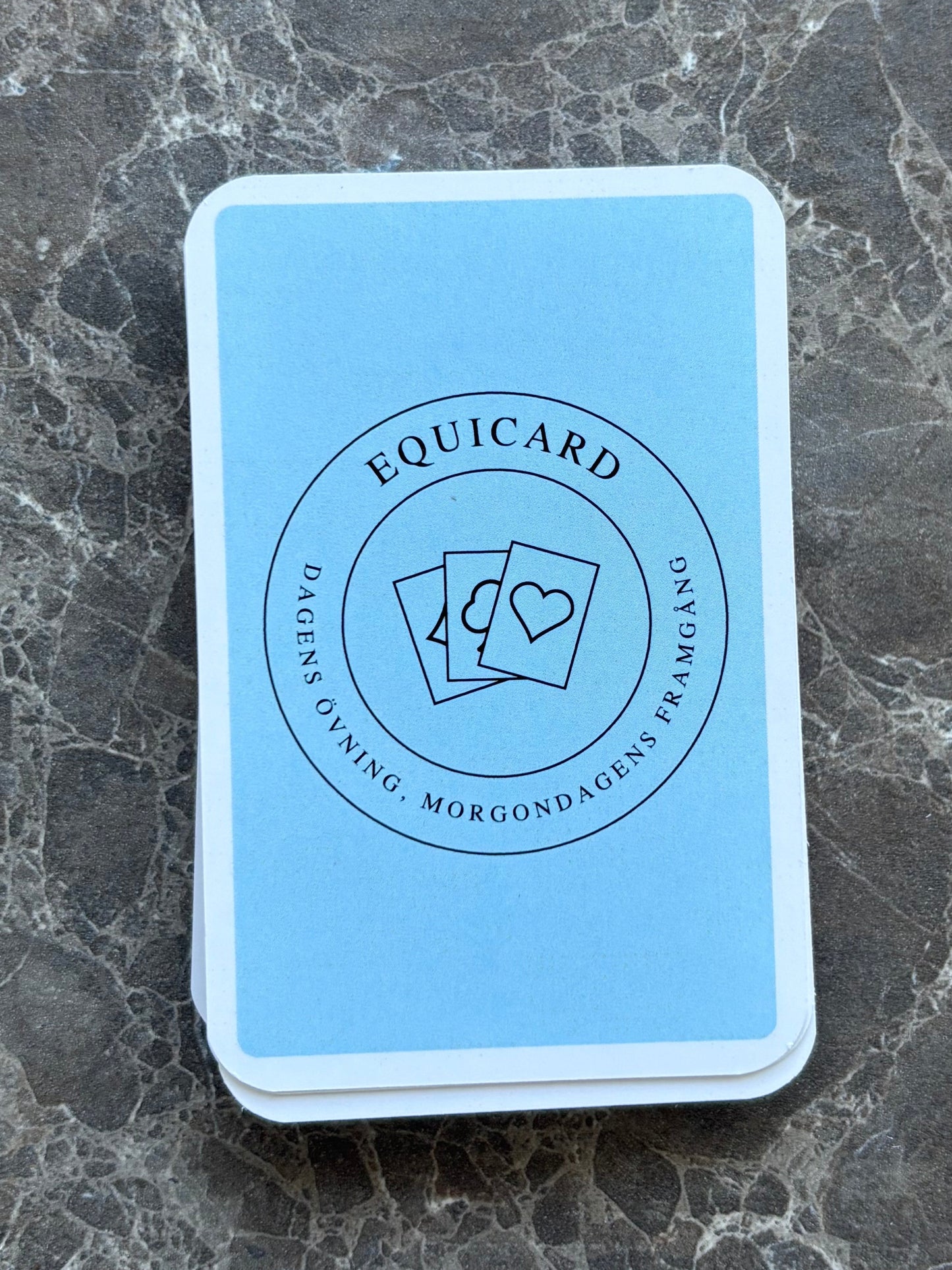 Equicard träningskort blå 55 tycken kort med ridövningar 