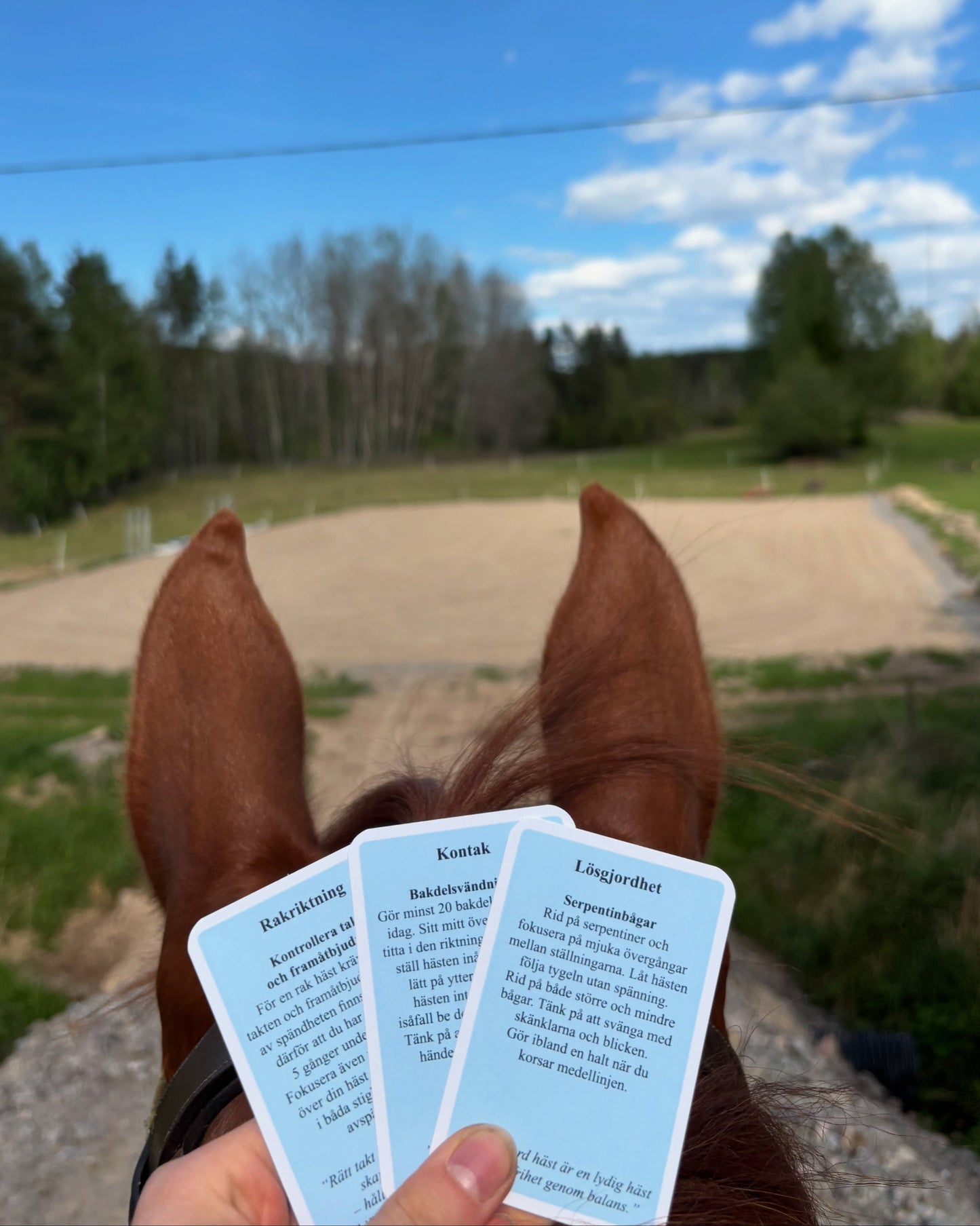 Equicard träningskort används vid ridning 